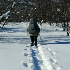 Informasjon til alle hytteeiere i Ringsaker Almenning , del 2